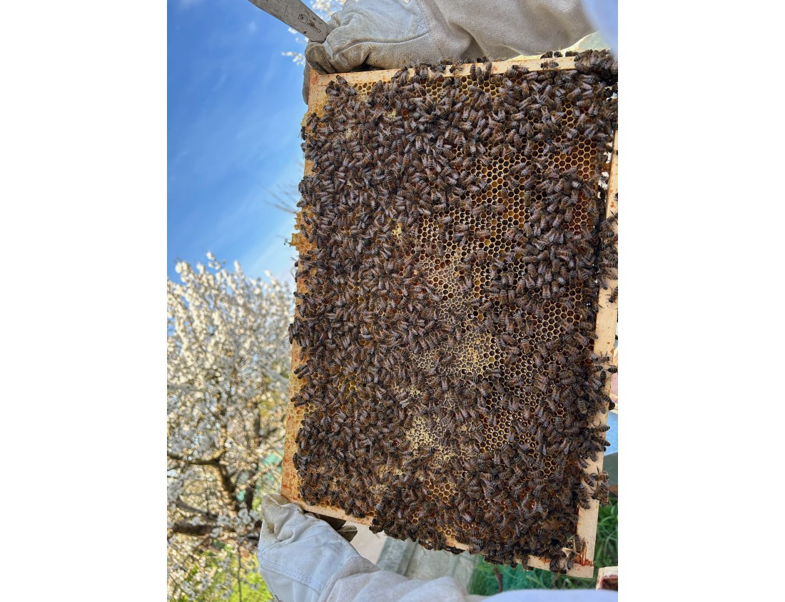 2025 Une nouvelle saison !